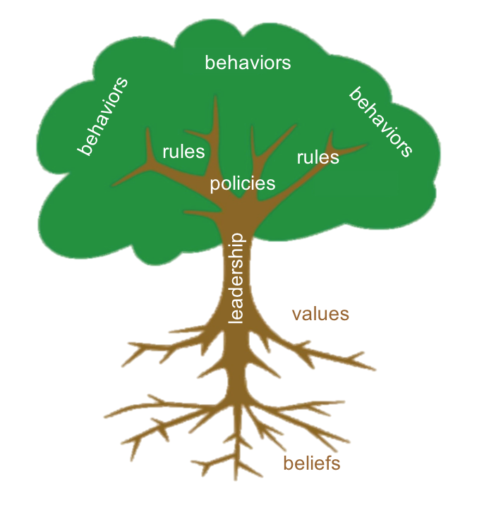 The Culture Tree: Changing culture requires changing the roots, not just the leaves and branches.