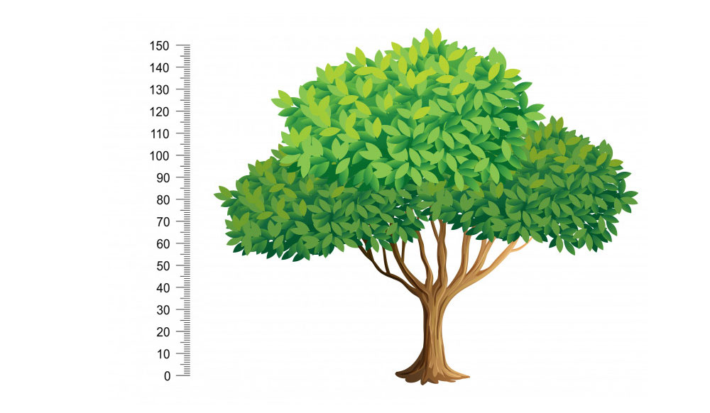 Quantify and measure agile maturity; track progress and adjust.